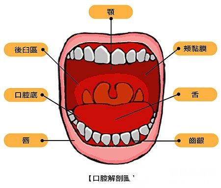口腔癌 口腔癌