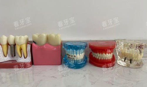 牙齿各种模具图 牙齿各种模具图