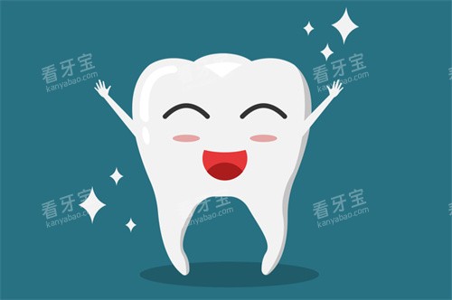 健康的牙齿动画图 健康的牙齿动画图