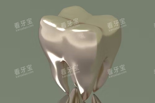 假牙制作展示图 假牙制作展示图