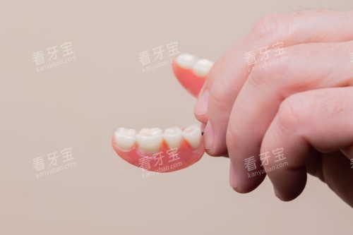 假牙模型 假牙模型