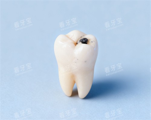 牙齿图片 牙齿图片