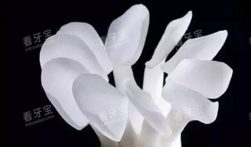 牙齿树脂贴面示意图 牙齿树脂贴面示意图