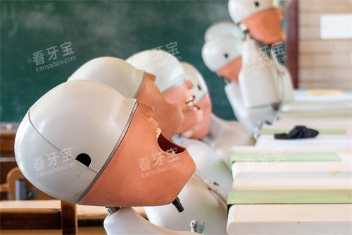 牙齿治疗卡通展示宣传 牙齿治疗卡通展示宣传