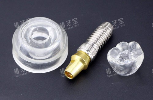 十堰华玉口腔种植牙模型展示 十堰华玉口腔种植牙模型展示