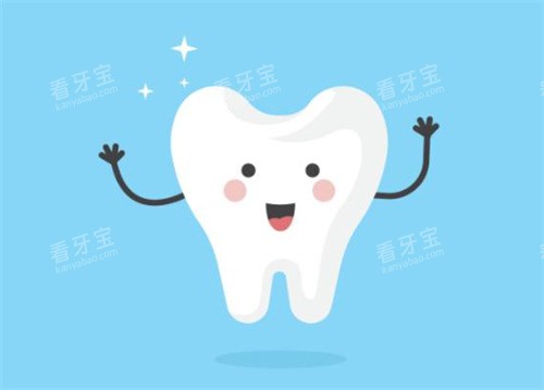 牙齿健康示意图 牙齿健康示意图