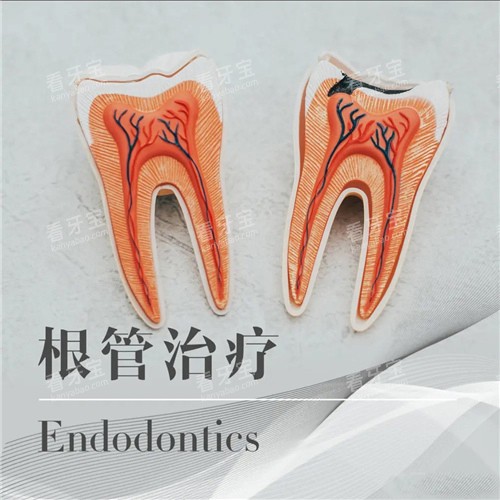 ��������ͼʾ