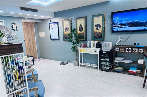 北京和风口腔大厅休息区 北京和风口腔大厅休息区