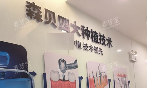 �ն�ɭ����ǻ��Ʒ��ǽ