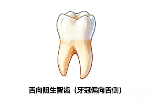 ���������ǳ�չʾ