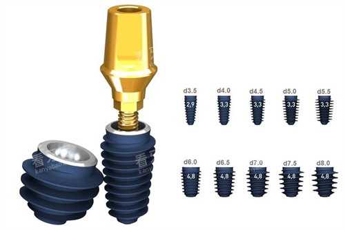 ������������ֲ��ϵ��