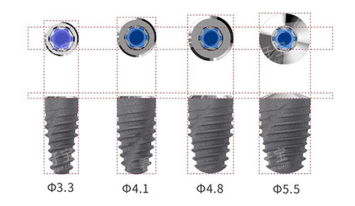 ����˹��ֲ��ֲ���ͺ�