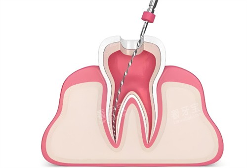 �������ƿ�ͨչʾ