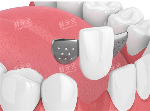 ���������ʺ���Ⱥ