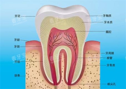 ���ݽṹ����Щ