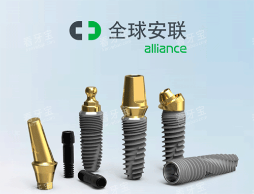 ������ֲ��ʲô����