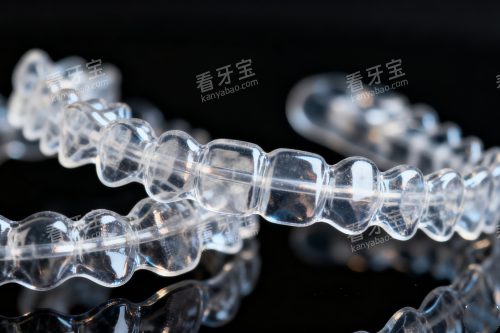 透明保持器模型 透明保持器模型