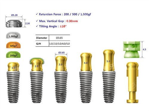 ��ֲ���ͺ�