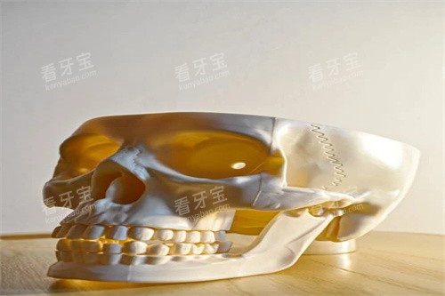 ���ݲ�������