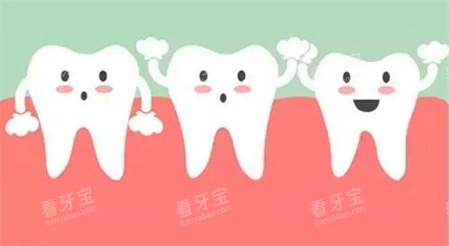 牙齿健康图 牙齿健康图