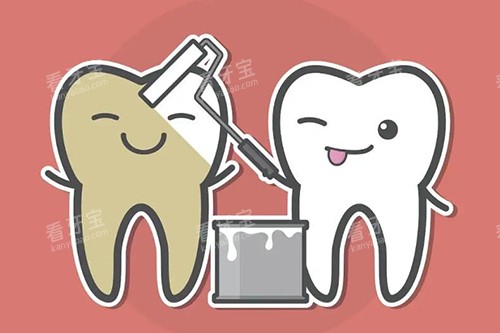 ������������չʾ