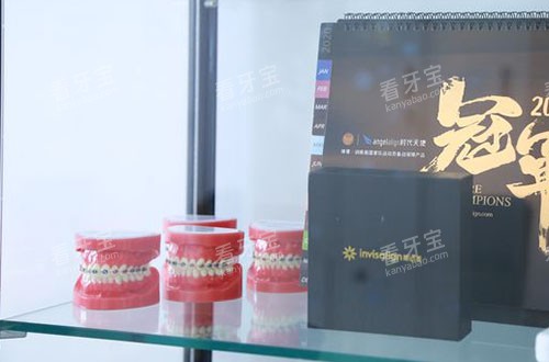 成都美莱口腔牙齿模型展示 成都美莱口腔牙齿模型展示