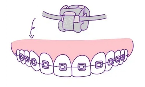 �����в۽���