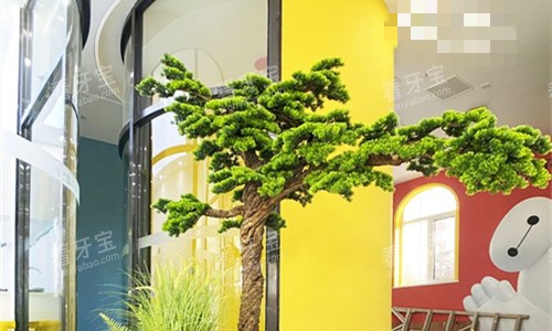 辽阳维尔口腔儿童区 辽阳维尔口腔儿童区