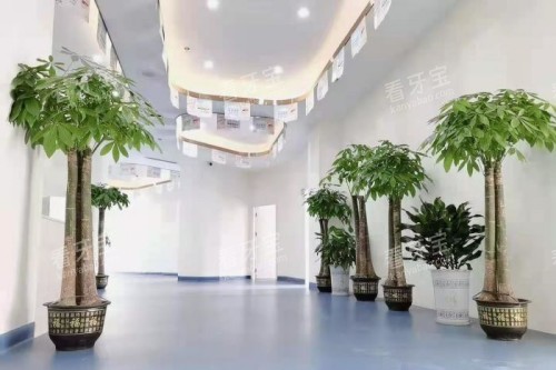 岳阳平江致远口腔内部环境 岳阳平江致远口腔内部环境