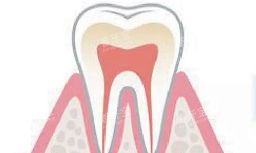 ��������չʾ