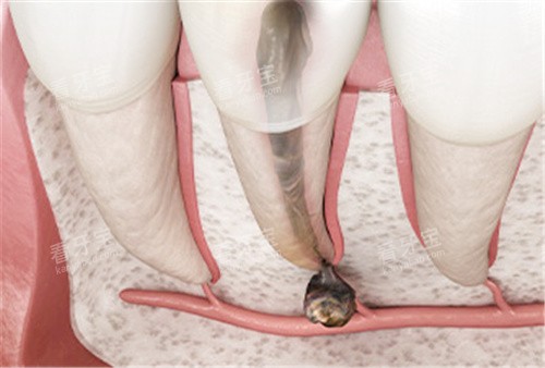 ���ݸ��ܵײ�������