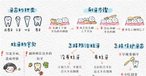儿童保护牙齿科普 儿童保护牙齿科普