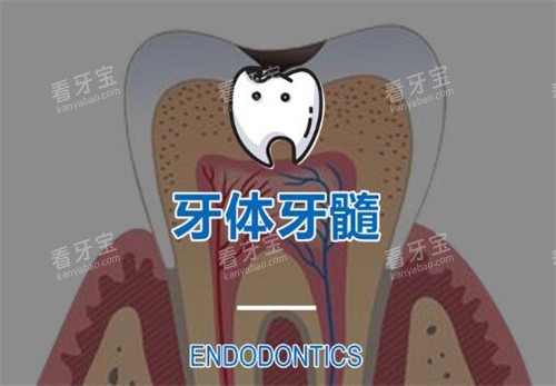 根管治疗改善图 根管治疗改善图
