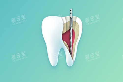 牙齿内部示意图 牙齿内部示意图
