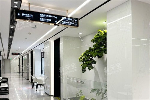 深圳麦芽口腔罗湖总院走廊 深圳麦芽口腔罗湖总院走廊