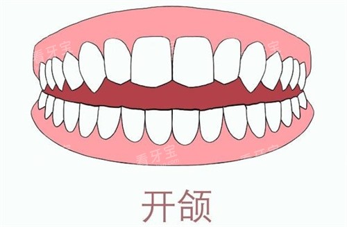 ݿ