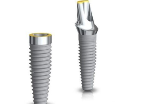 种植牙植体模型图 种植牙植体模型图