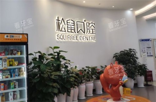 昆明松鼠口腔内部环境一角 昆明松鼠口腔内部环境一角