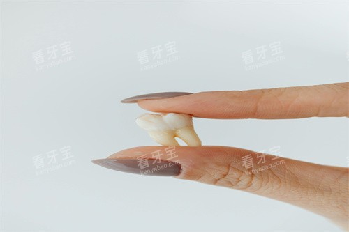 假牙模型图片展示 假牙模型图片展示