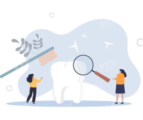 牙齿清洁示意图 牙齿清洁示意图