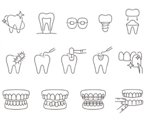 牙齿类型卡通图 牙齿类型卡通图