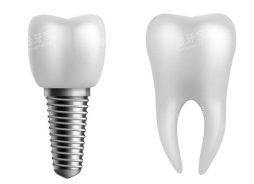 ��ֲ���Ա�������������