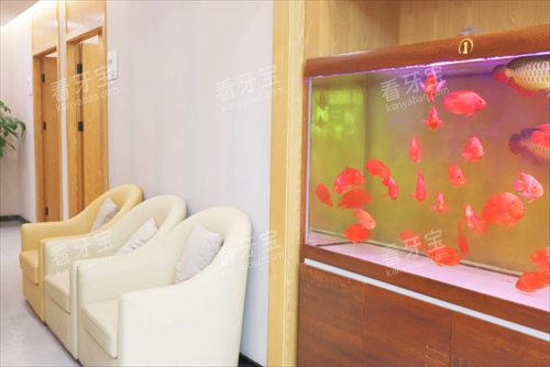 无锡佳士洁口腔环境 无锡佳士洁口腔环境