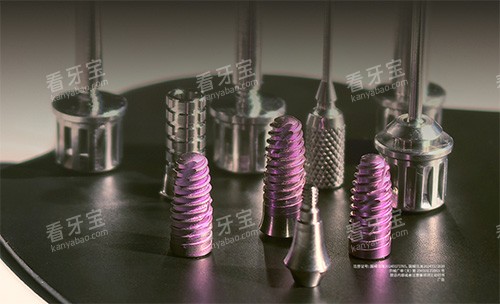 ����˹��ֲ��ʲô����