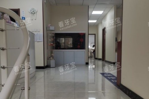 保定1 1口腔内部环境 保定1 1口腔内部环境