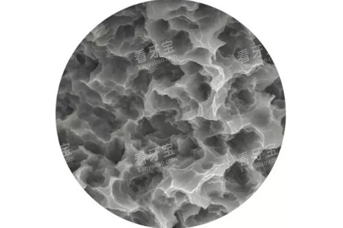 º«¹ú°Â³ÝÌ©ÖÖÖ²Ìå±íÃæ´¦Àí΢¹ÛʾÒâͼ º«¹ú°Â³ÝÌ©ÖÖÖ²Ìå±íÃæ´¦Àí΢¹ÛʾÒâͼ