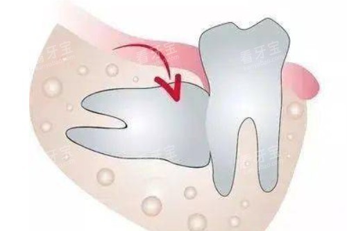 �����ǳݿ�ͨͼ