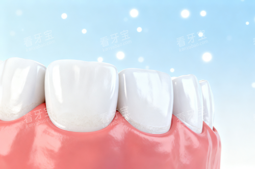 ����ģ��ͼչʾ