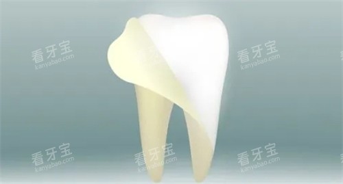 �������׸�����������