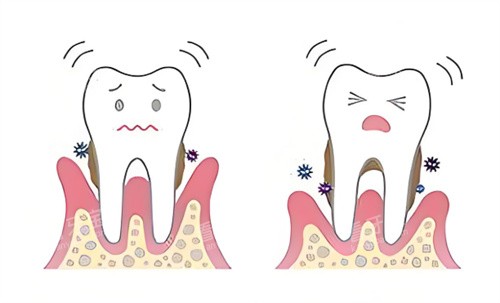 �����׿�ͨͼƬ